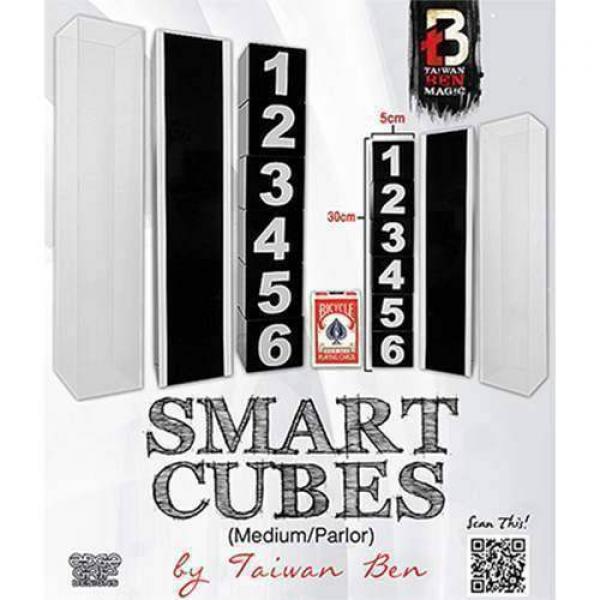 Smart Cubes (Medium / Parlor) by Taiwan Ben