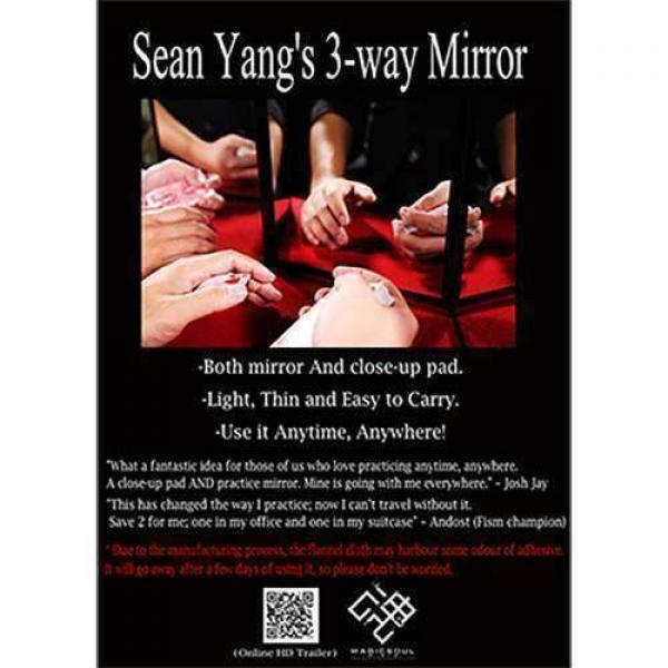 3-Way Mirror by Sean Yang and Magic Soul 