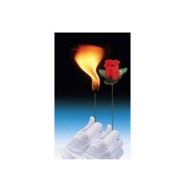 Flaming Torch to Rose - Red