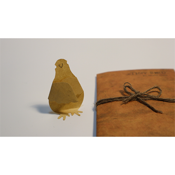 Tiny Bird (Gimmick and Online Instructions) by Hug...