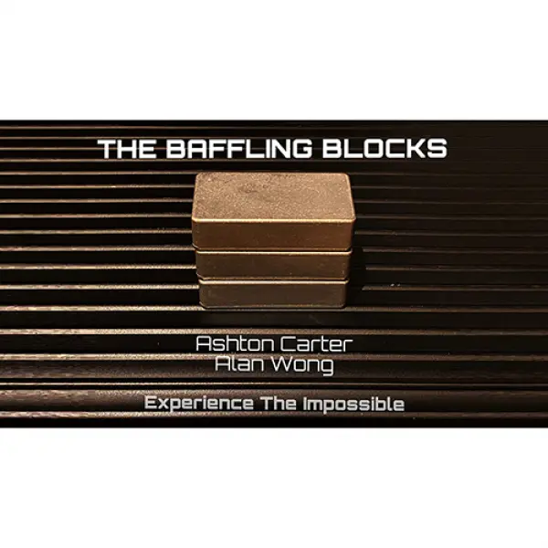 The Baffling Blocks by Alan Wong and Ashton Carter